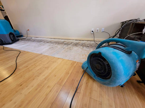 Professional Basement Flood Cleanup technician working in Oglesby, TX